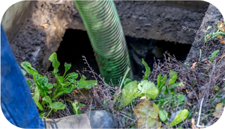 A green pipe is in the ground next to some plants.